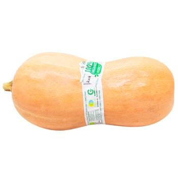 Dunayskyy Ahrariy Organic Butternut Squash - buy, prices for WINETIME - photo 1