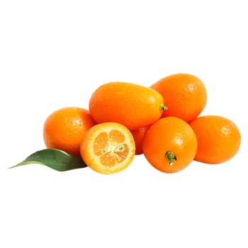 Kumquat - buy, prices for MegaMarket - photo 1