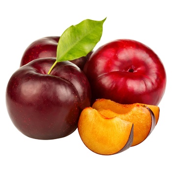 Plum Red - buy, prices for Za Raz - photo 1