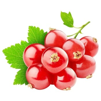 berry redcurrant fresh - buy, prices for MegaMarket - photo 1