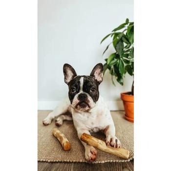 HealthyDoggo Coffee Tree Stick Dog Toy M 17-18cm - buy, prices for MasterZoo - photo 6