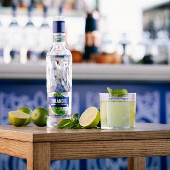 Finlandia Lime vodka 37.5% 1l - buy, prices for NOVUS - photo 2