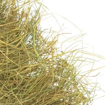 My furry 1000g - buy, prices for MasterZoo - photo 4