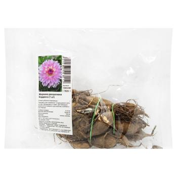 Коренебульба жоржини декоративноі Кордесса - купити, ціни на МегаМаркет - фото 1