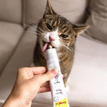 GimCat Expert Line Senior Paste Snack for Senior Cats 50g - buy, prices for MasterZoo - photo 3