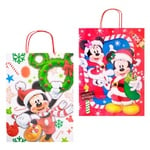 Пакет бумажный Disney 26x12x34,5см