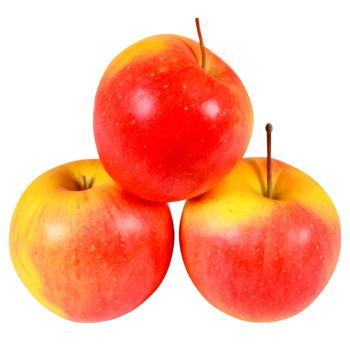 fruit apple golden Without brand red fresh