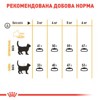 Корм сухой Royal Canin Hair And Skin Care для ухода за кожей и шерстью у котов 1-7лет 400г - купить, цены на Master Zoo - фото 6