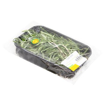 Rosemary Packing - buy, prices for Za Raz - photo 1