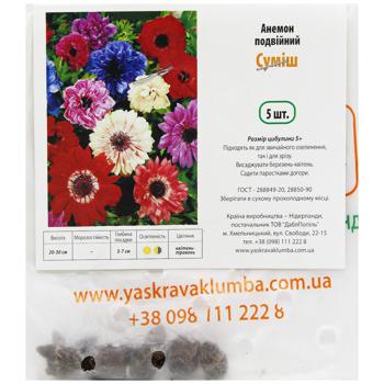 Anemone Double Mix 5pcs