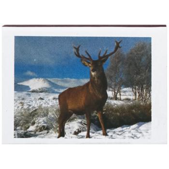 Спички Украинская спичечная фабрика в ассортименте - купить, цены на МегаМаркет - фото 3