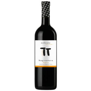 Bottesini Negroamaro Puglia IGT Red Dry Wine 12.5% 0.75l - buy, prices for Chudo Market - photo 1