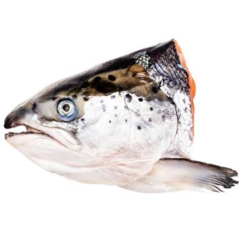 Salmon Fish Soup Set