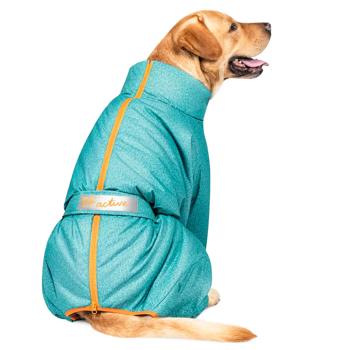 Pet Fashion Cold Raincoat for Dogs s.XS Dachshund Turquoise - buy, prices for MasterZoo - photo 4