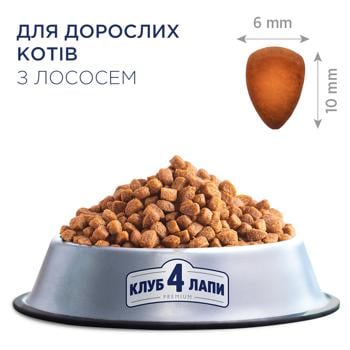 Корм сухой Club 4 Paws Premium с лососем для взрослых кошек 300г - купить, цены на МегаМаркет - фото 2