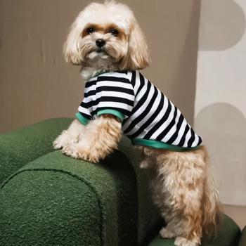 Футболка для собак Pet Fashion Breeze р.S бело-черный - купить, цены на MasterZoo - фото 4