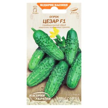 Nasinnia Ukrainy Caesar F1 Cucumber Seeds 0.5g - buy, prices for - photo 1