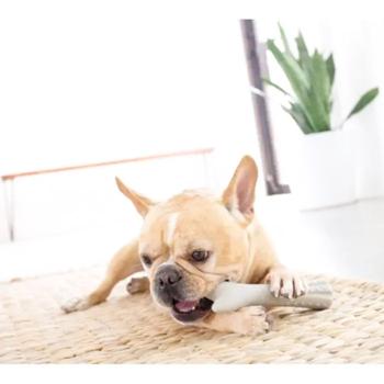Toy Petstages - buy, prices for MasterZoo - photo 2
