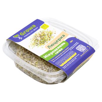 Growa Broccoli Microgreens 50g - buy, prices for MegaMarket - photo 2