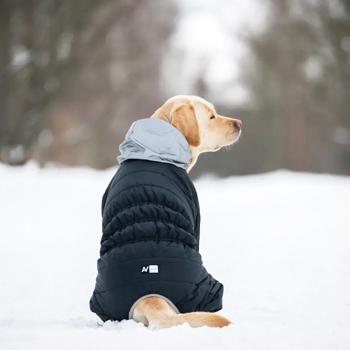 Combination Collar - buy, prices for MasterZoo - photo 2