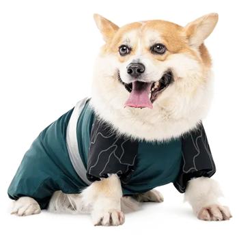 Комбінезон для собак Pet Fashion Den S-M - купить, цены на MasterZoo - фото 2