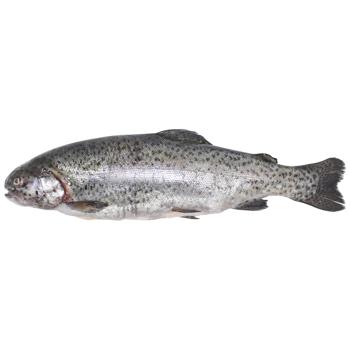 Chilled Trout 2-3 - buy, prices for COSMOS - photo 1