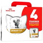 Набор корма Royal Canin Urinary S/O для кошек с заболеваниями мочевыводящих путей сухой 1,5кг + влажный 4шт*85г