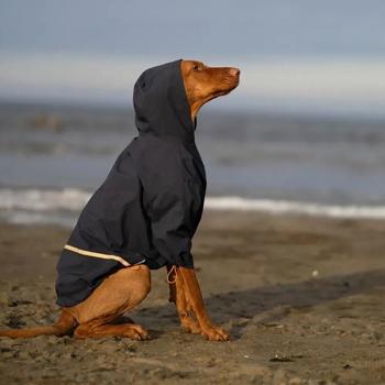 Дощовик для собак Noble Pet Moss р.3XL синій - купити, ціни на MasterZoo - фото 2