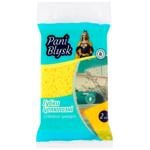 Sponge Pani blysk cellulose