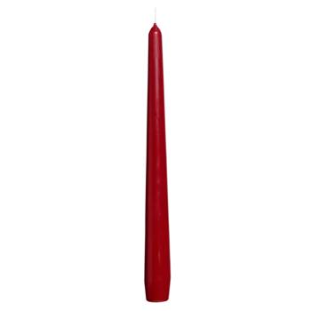 Bolsius Conical Candle 24.5х2.4cm Burgundy - buy, prices for NOVUS - photo 1