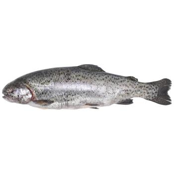 Denmark Chilled Trout 1-2 - buy, prices for Tavria V - photo 1