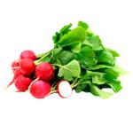 Vegetables radish fresh