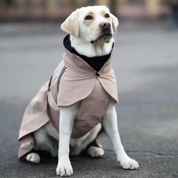 Raincoat Noble pet Ukraine - buy, prices for MasterZoo - photo 7