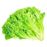 Vegetables lettuce