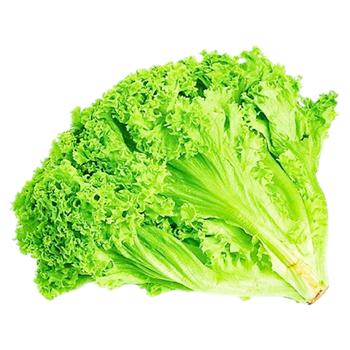 Салат Лола Біонда ваг.  - купити, ціни на Grono - фото 1