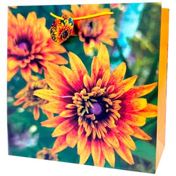 Пакет подарочный Art studio of Happines GB-24177 35х37х12см