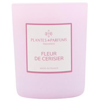 Plantes&Parfums Fleur de Cerisier Scented Candle 180g - buy, prices for WINETIME - photo 1