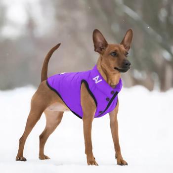 AiryVest One Dog Jacket s.M50 Purple - buy, prices for MasterZoo - photo 5