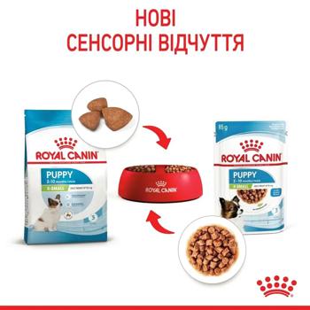 Royal Canin X-Small Puppy Wet Food with Poultry for Puppies of Miniature Breeds 85g - buy, prices for - photo 4