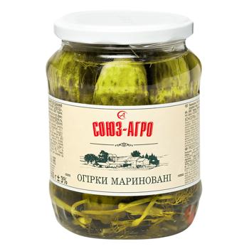 Soiuz-Ahro Marinated Cucumbers 660g