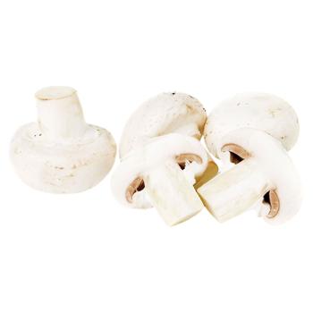 Mushrooms - buy, prices for Grono - photo 1