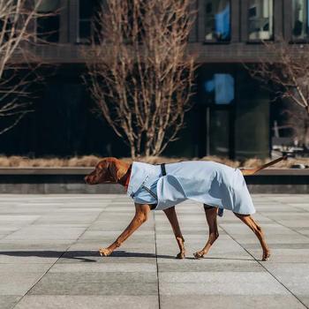 Noble Pet Rio дощовик для собак 2XL - купить, цены на MasterZoo - фото 4