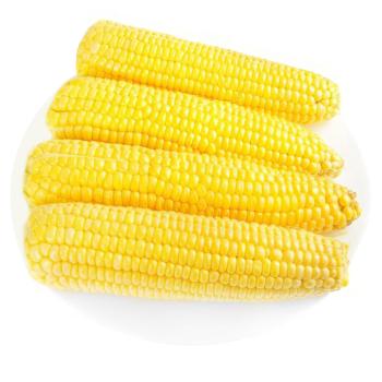 Кукурудза цукрова - купити, ціни на Таврія В - фото 1