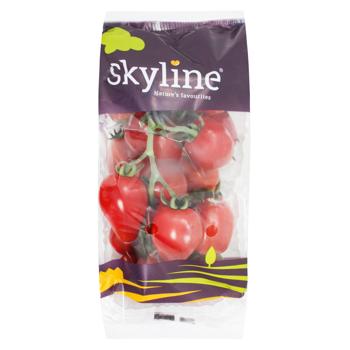 Vegetables tomato cherry tomatoes Without brand red fresh 500g - buy, prices for NOVUS - photo 1