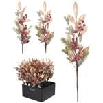 Ornamental plant Actuel 18cm China