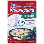 Каша овсяная Овсянушка со стевией, черникой и сливками быстрого приготовления 40г