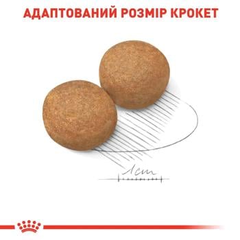 Корм сухой Royal Canin Maxi Adult с домашней птицей для собак больших пород 3,2кг+800г - купить, цены на MasterZoo - фото 5