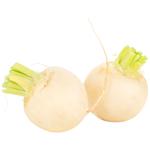 Редька белая