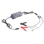 Charging Auchan for battery China