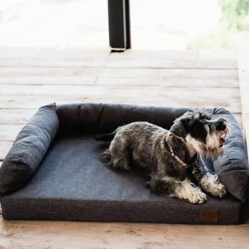 Noble Pet London Pet Sofa 80x60x22cm Grey - buy, prices for MasterZoo - photo 4